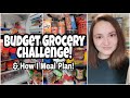 How I Meal Plan | FREEZER CLEANOUT | Budget Grocery Challenge | PANTRY CHALLENGE!