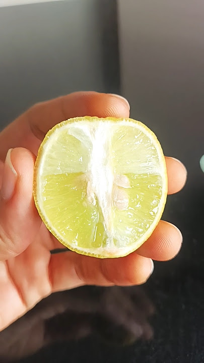 Lemon🍋Kenshi Yonezu#lemon#kenshiyonezu#japan#japanese#米津玄師#レモン#song#art