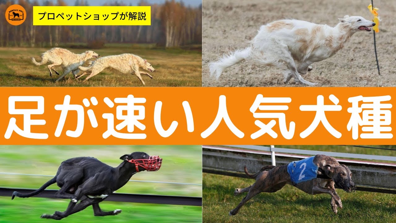 胃がんは通常どのように検出および診断されますか?