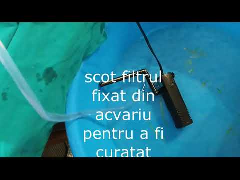 Video: Cum Se Curăță Un Filtru într-un Acvariu
