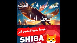 السوق ايجابي اشتري الان البيتكوين والشيبا?shib