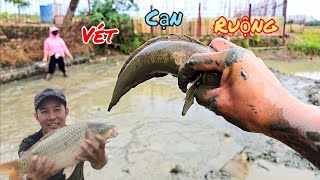 Rủ Thúy Tát Cạn Ruộng Sau Nhà Bắt Cá Nhặt Tôm / HIỆP CUỘI TV