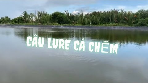 Câu lure cá chẽm tại Cần Giờ [ Fishing Barramindi ]