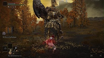 Elden Ring - Draconic Tree Sentinel | Rune Level 1 | No Hit / No Damage