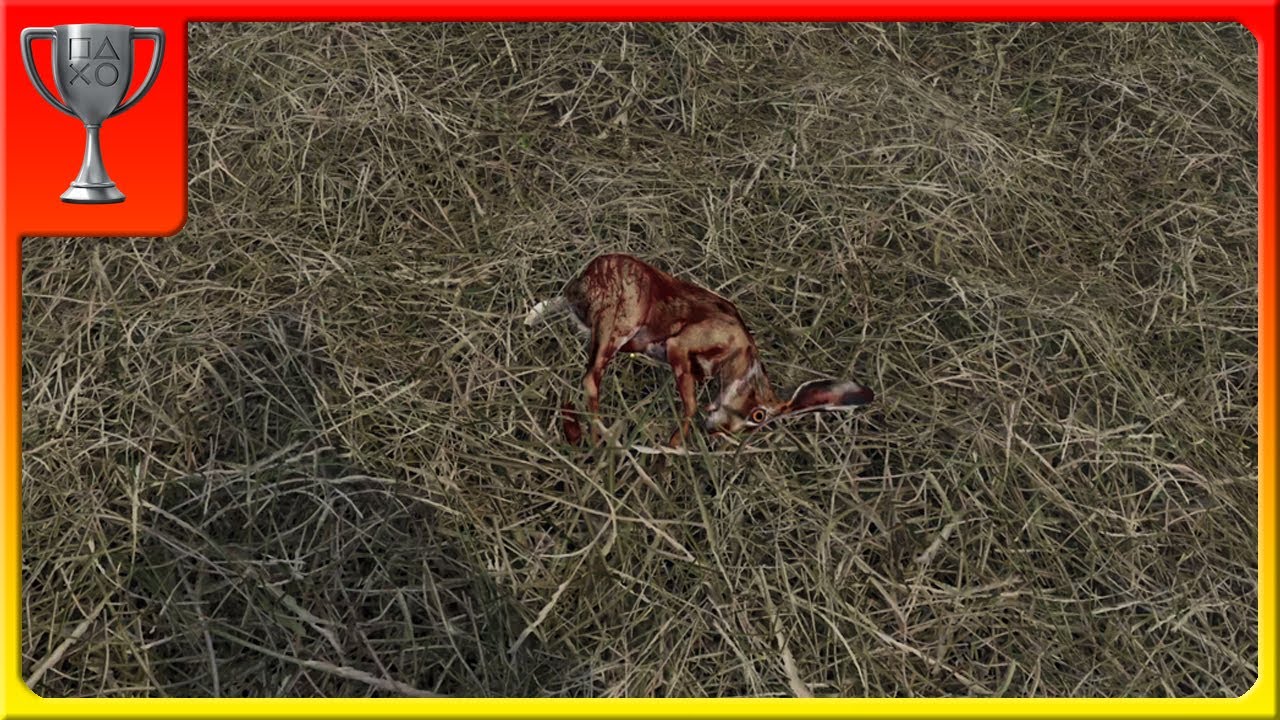 Kingdom Come Deliverance II - ¿Cómo conseguir el Trofeo / Logro "A cañonazos"?