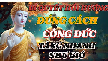 Cách Hồi Hướng Để Tạo Công Đức Nhanh Nhất – Phật Tử Tại Gia Nên Biết | Sắc Màu Phật Pháp TV