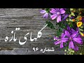 گلهای تازه شماره۹۶ Sazo Avaz
