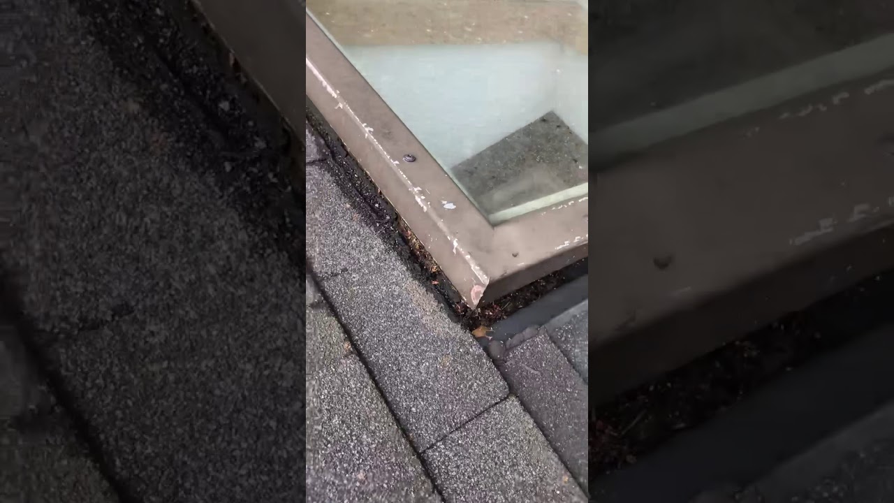 Home Inspection - A sky light in a ceiling that’s leaking