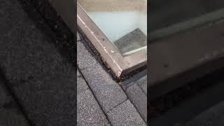 Home Inspection - A sky light in a ceiling that’s leaking