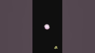 Amazing Design using Python turtle