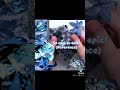 Posting all my recent videos from TikTok! || RANDOMCRK