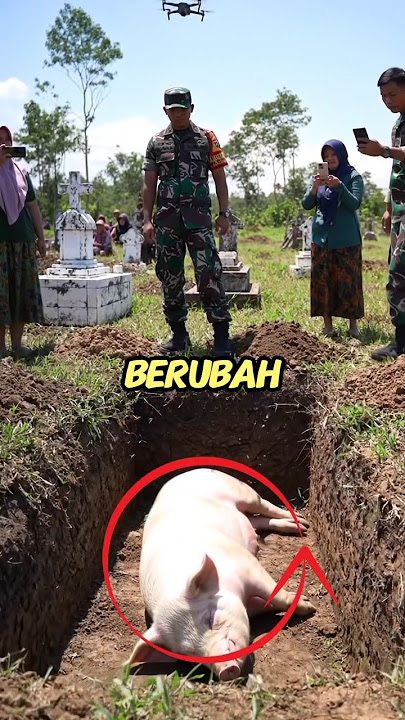 gara gara suka menonton film dewasa.!! #shorts