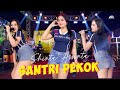 Santri Pekok | Shinta Arsinta (OFFICIAL LIVE MUSIC VIDEO)