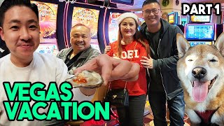 We brought our dog with us to Las Vegas - Vegas 2022 VLOG Part 1