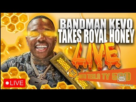 Tesla Ty 500 and Bandmankevo Takes the Royal Honey Pack Live 🍯