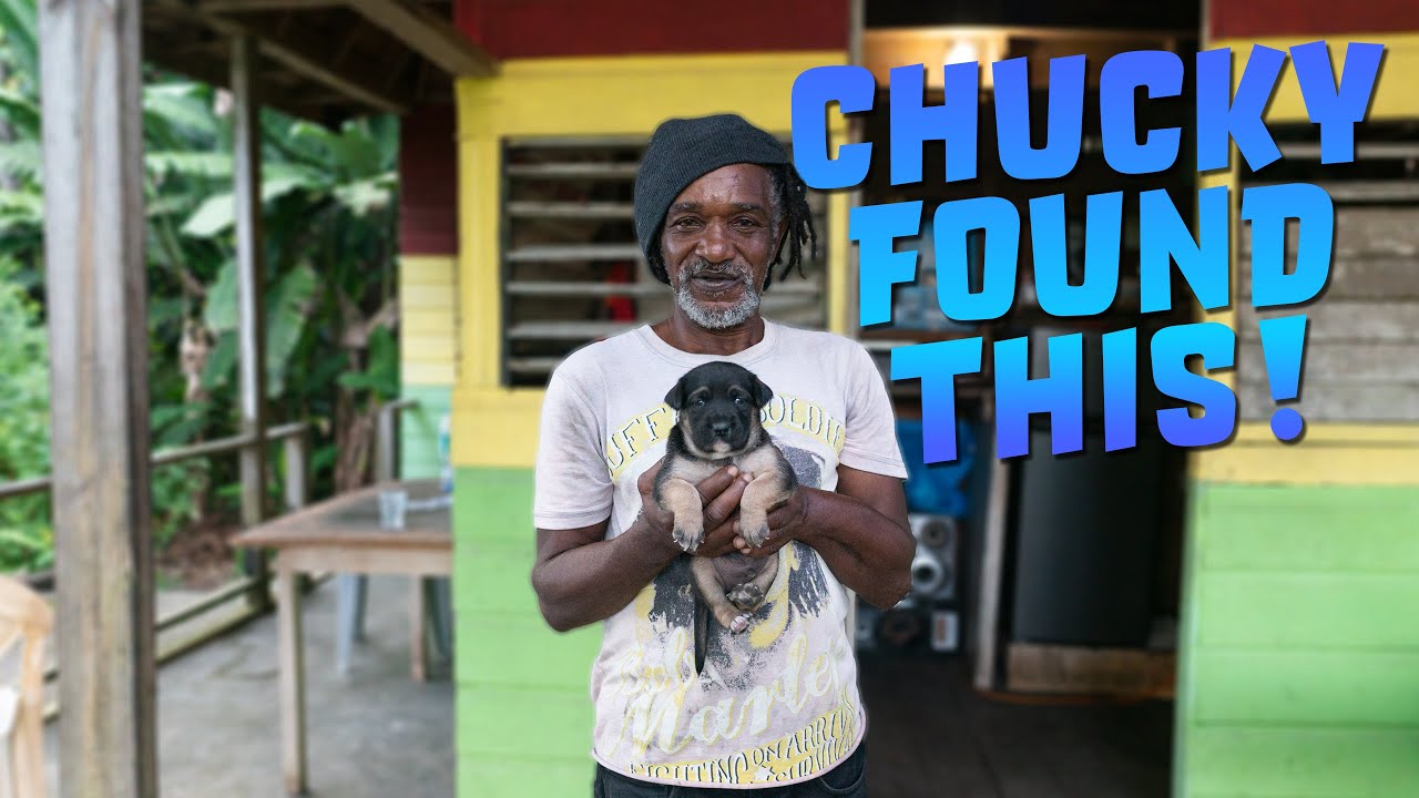 Chucky found something on the beach !