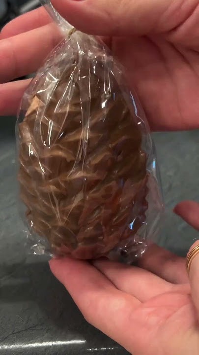 Шоколадная шишка с кедровым орехом, в очень красивой и интересной ...