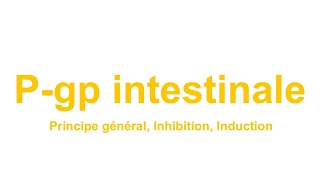 P-gp Intestinale (principe général, Inhibition, Induction)