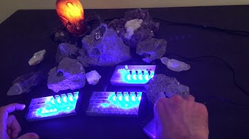 Patchblocks minijam studio- 1st Jam by Xeno