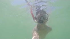Snorkeling in Clearwater Beach, Florida 2016 - GoPro HERO 