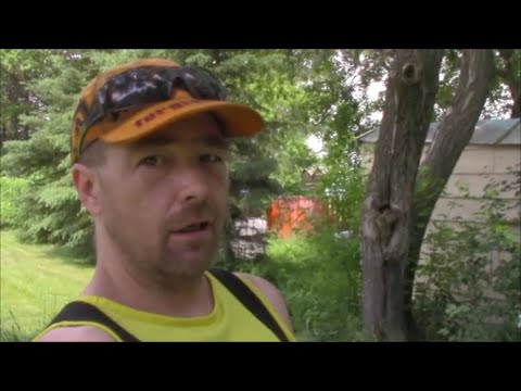 Sunday Gardens Update for June 28 2020
