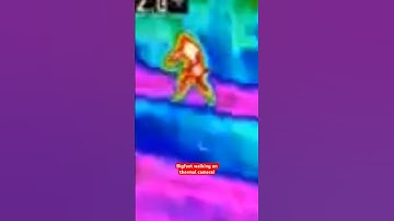 Bigfoot Walking on Thermal Camera! | Squatch Watchers Shorts