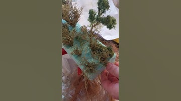 Modeling Realistic Bushes - Quick instructions for field scenery for diorama, railway, or wargaming.