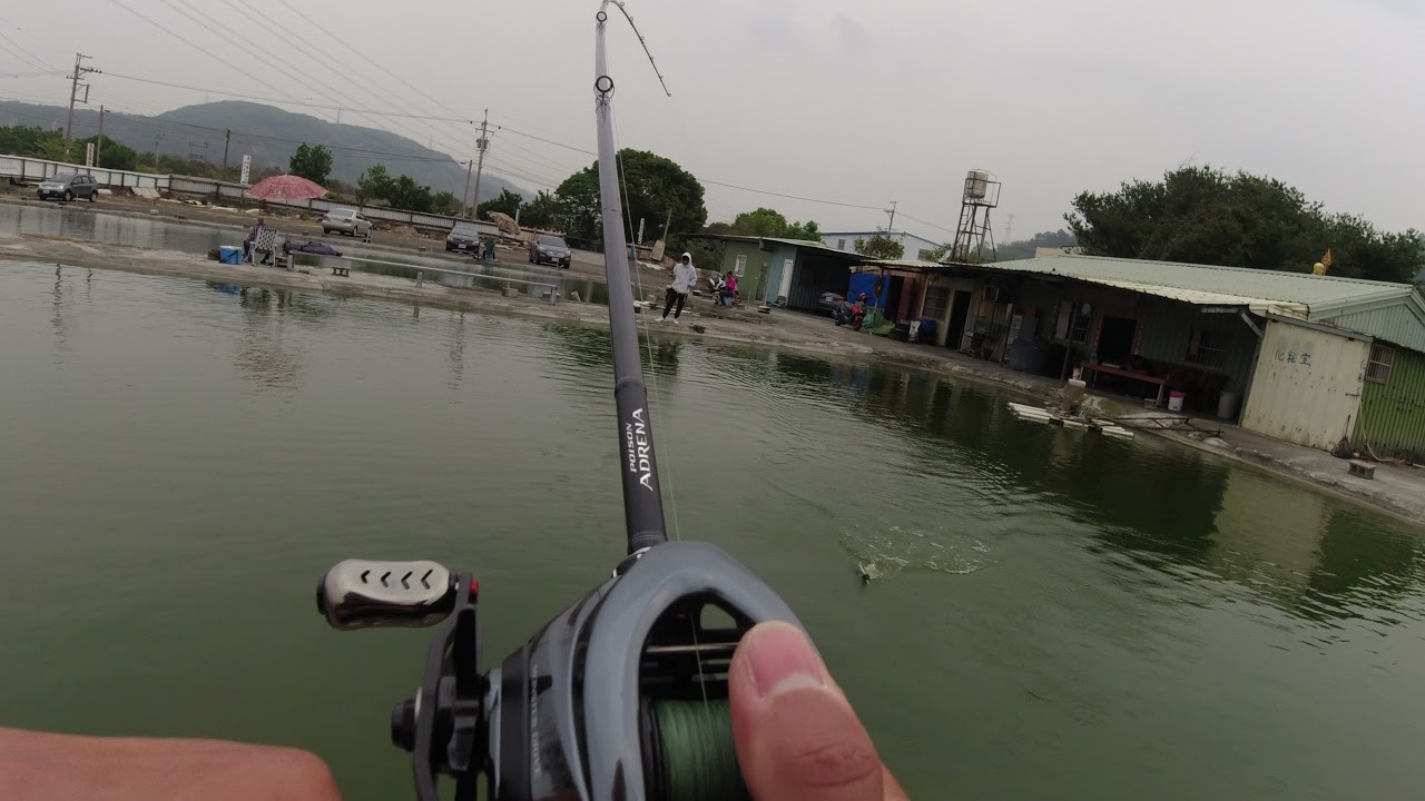 Jackall Revoltage RC BLACK Top water