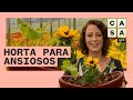 🥦 HORTA PARA COLHER RÁPIDO: como plantar a partir de MUDAS | Plante Você Mesmo | Carol Costa