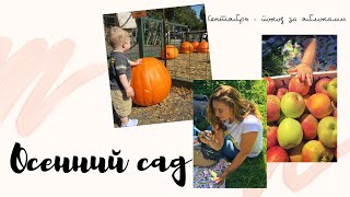 Осенний сад/Осенний семейный влог |Fall orchard/Fall family vlog.