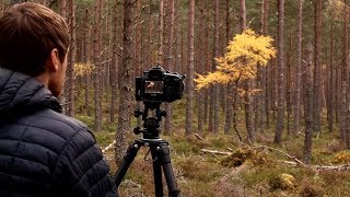 Photography in the Woods | Autumn Colour
