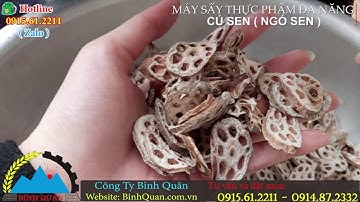 Sấy khô củ sen(ngó sen) làm thuốc cho khách hàng tại Hải Phòng - Máy sấy thực phẩm đa năng Bình Quân