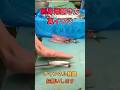 イワシ捌き方！刺身用#short #shorts #new #fish #japan #howto #おすすめ #簡単 #料理 #釣り #チャレンジ #ミッション #美味しい #楽しい