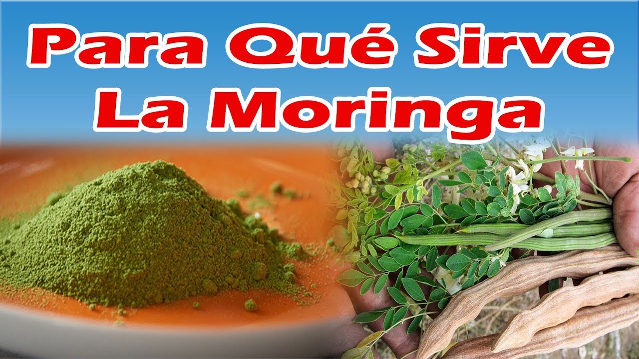 cuáles son las enfermedades que cura la moringa