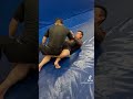 Berimbolo From Half Guard Bjjshorts Bjjfanatics Moveoftheday Bjj Berimbolo From Half Guard Bjjshorts Bjjfanatics Moveoftheday Bjj