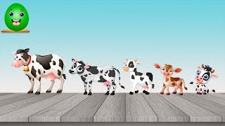 Learn Colors with Farm Animals Cow Finger Family Rhymes for Kids