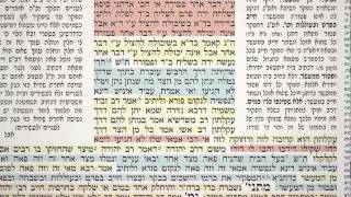 מסכת בבא קמא דף כ״ח 28