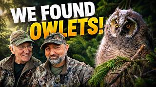 We Found 4 Long-Eared Owl Chicks… Then THIS Happened! 🦉
