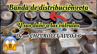 Banda de distribución rota de un CHEVROLET AVEO 1.6 si tienes un AVEO tienes que ver este video