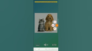 image captioning android demo