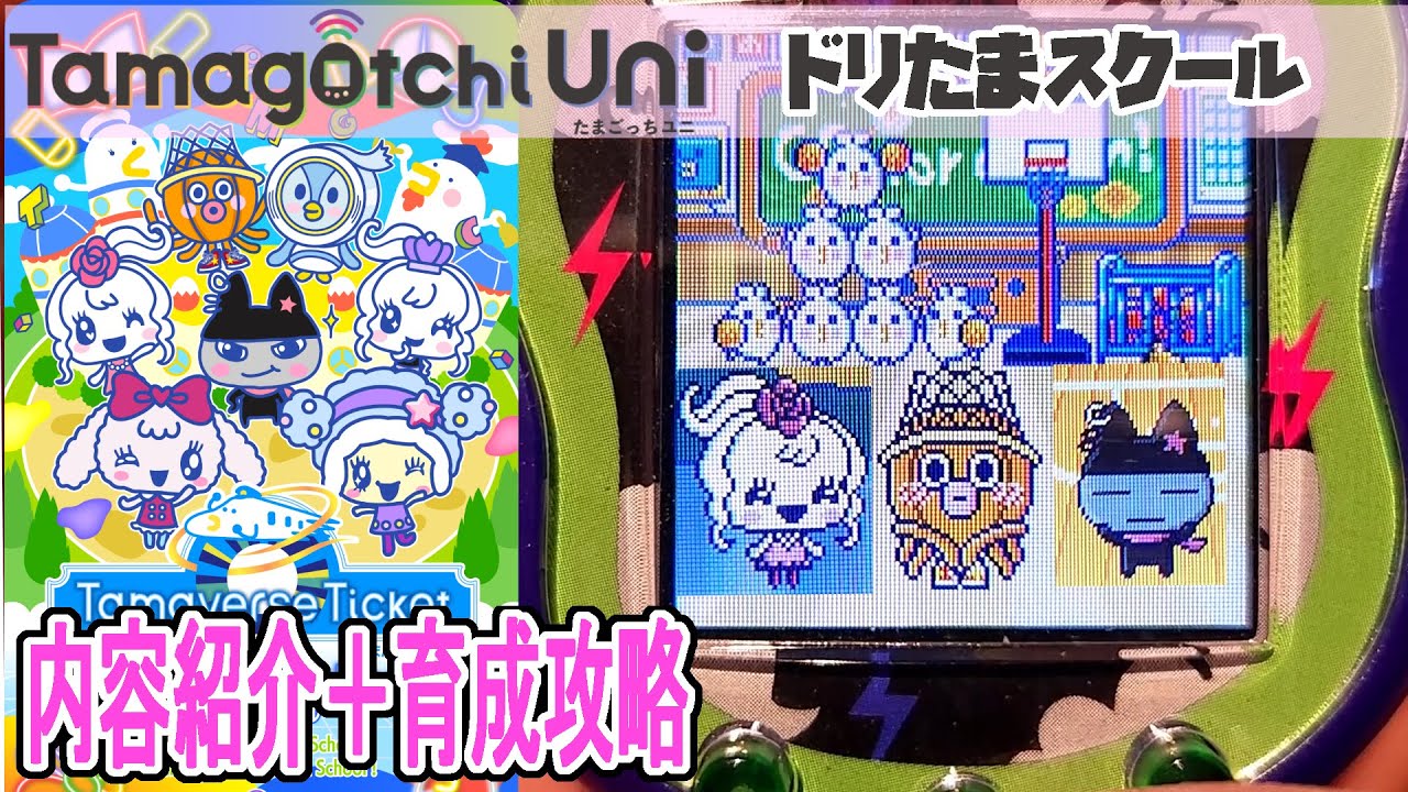 たまごっち Uni】『ドリたまスクール』を紹介！新規たまごっちの育成