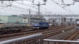 JR貨物EF210形125号機＋コキ　金町発車　20240328 100313