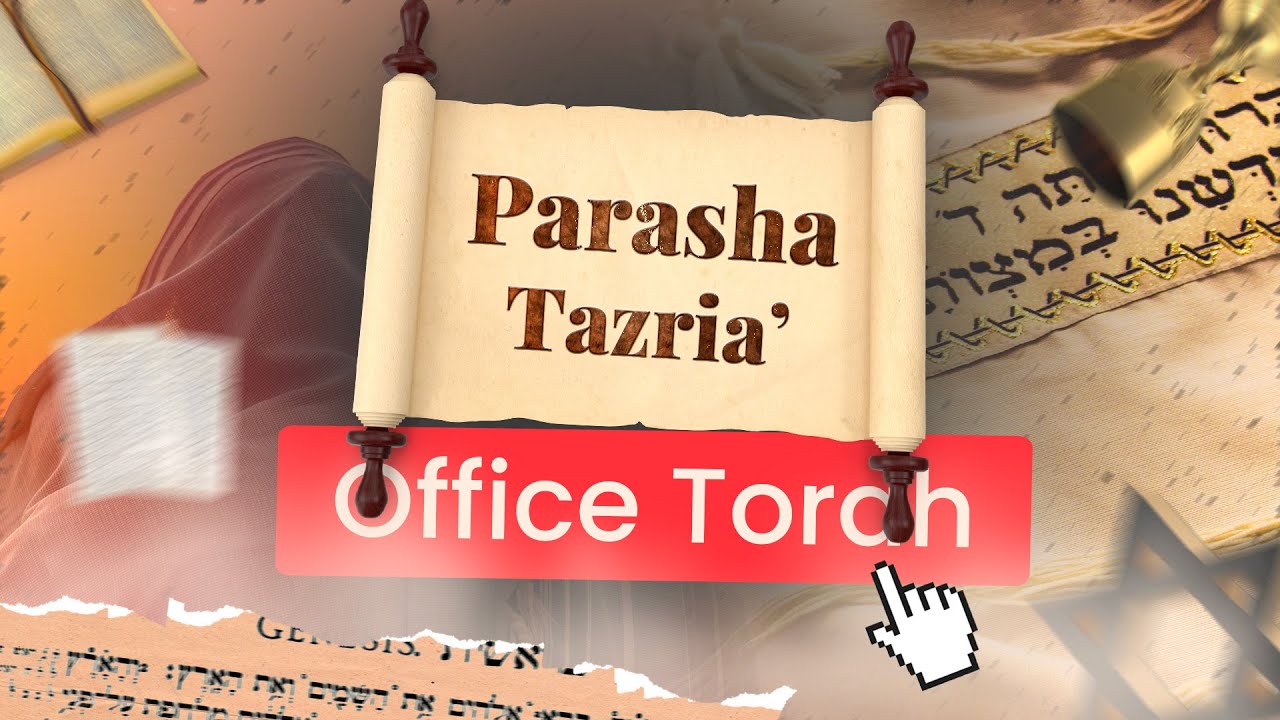 Office Torah  Parasha Tazria 130424