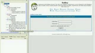 Automated Functional Test with Badboy by Leonardo Molinari