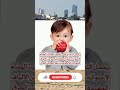 التفاح يعمل علي تقوية عملية الهضم التفاح غذاء صحي تقوية عملية الهضم التفاح يعمل علي تقوية عملية الهضم التفاح غذاء صحي تقوية عملية الهضم