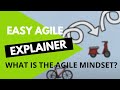 EXPLAINER VIDEO - EASY AGILE : THE AGILE MINDSET