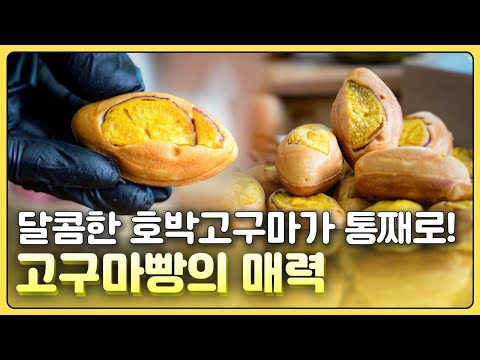 [황금나침반] 당진 호박고구마가 통째로 고구마빵! 달콤한 고구마의 매력에 빠져보세요~ / YTN 사이언스