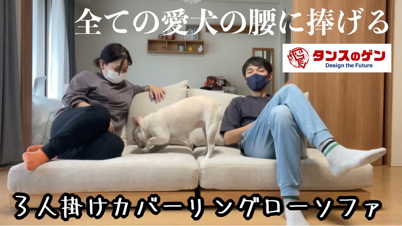 タンスのゲン】そろそろ愛犬のためにローソファを - YouTube