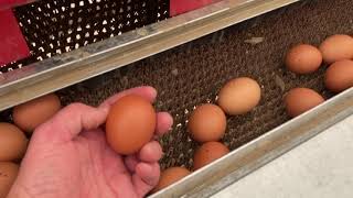 Famous HenGear - Why the new HenGear Rollout Nest Box is the best choice for small farms & backyard flocks Profile