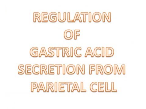 Physiology of Gastric acid secretion: Mechansim, Regulation and Phases